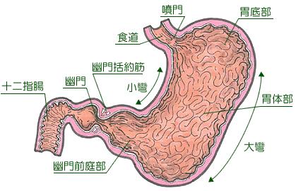 十二指肠溃疡